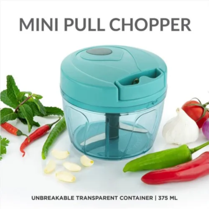 Mini Food Chopper for Home and Kitchen